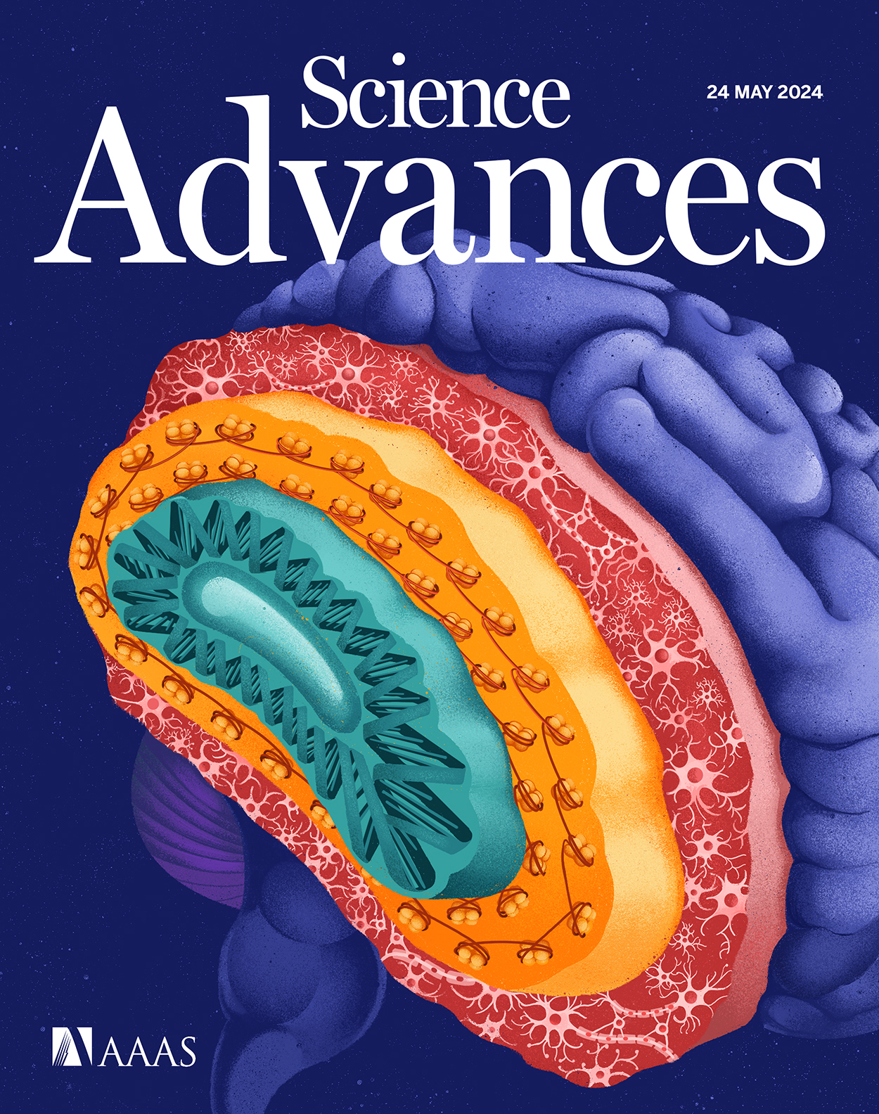 Towards drift-free high-throughput nanoscopy through adaptive intersection maximization